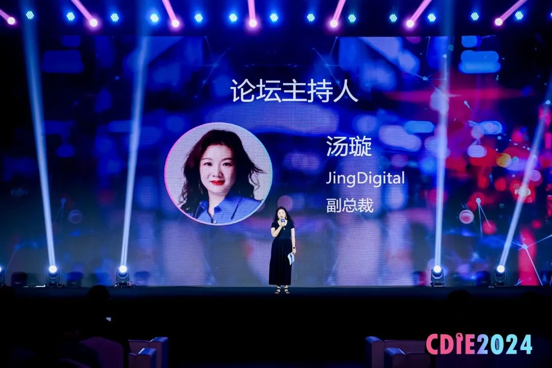 2024CDIE大会分论坛精彩继续